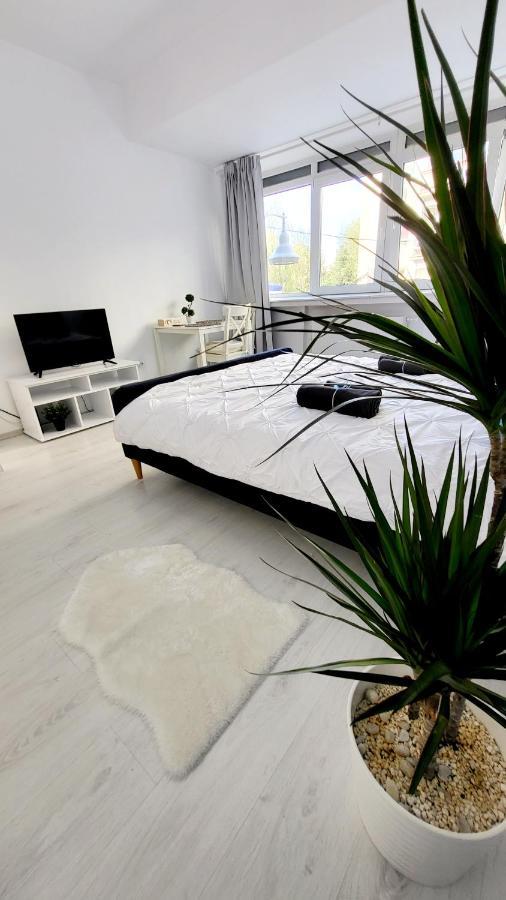 Victoriei Central Studio Apartment บูคาเรสต์ ภายนอก รูปภาพ